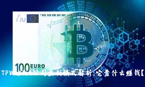TPWallet公司盈利模式解析：它靠什么赚钱？