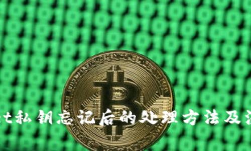 TPWallet私钥忘记后的处理方法及注意事项