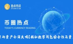 TPWallet里的资产会消失吗？