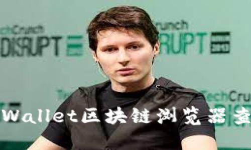 如何使用TPWallet区块链浏览器查看交易信息