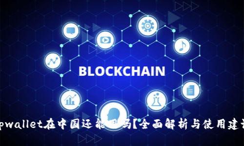 tpwallet在中国还能用吗？全面解析与使用建议