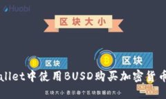 在TPWallet中使用BUSD购买加