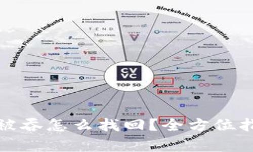 tpwallet转账被吞怎么找回？全方位指南与解决方案