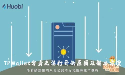 TPWallet分身无法打开的原因及解决方案