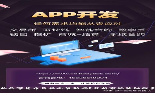 TPWallet里的数字货币价格会波动吗？分析市场波动因素及投资策略