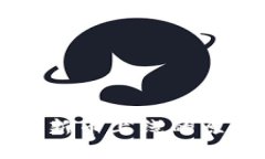 TPWallet新币上线的原因与分
