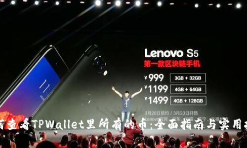 如何查看TPWallet里所有的币：全面指南与实用技巧