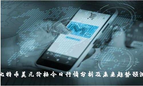 比特币美元价格今日行情分析及未来趋势预测